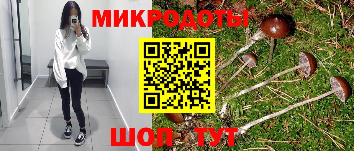 Галлюциногенные грибы мицелий Советская Гавань